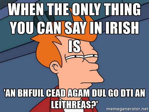 futurama-fry-when-the-only-thing-you-can-say-in-irish-is-an-bhfuil-cead-agam-dul-go-dti-an-leithreas